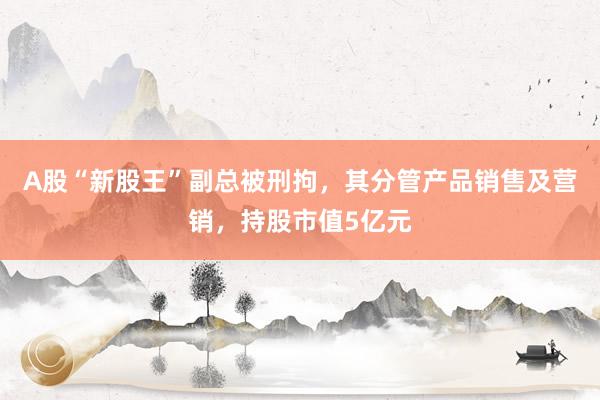 A股“新股王”副总被刑拘，其分管产品销售及营销，持股市值5亿元