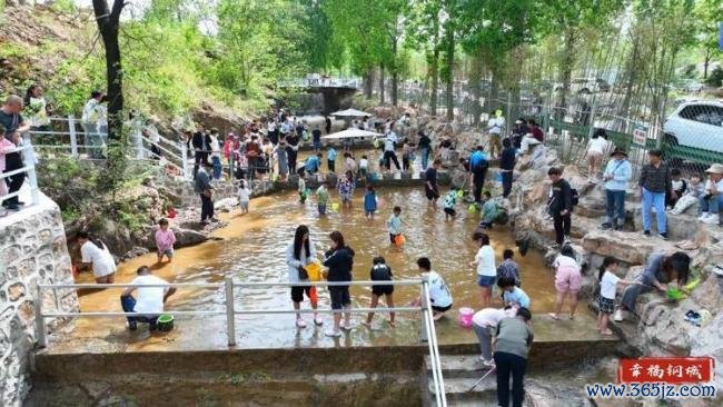 山东“清凉经济”激活夏日烟火活力 多元消费场景升温