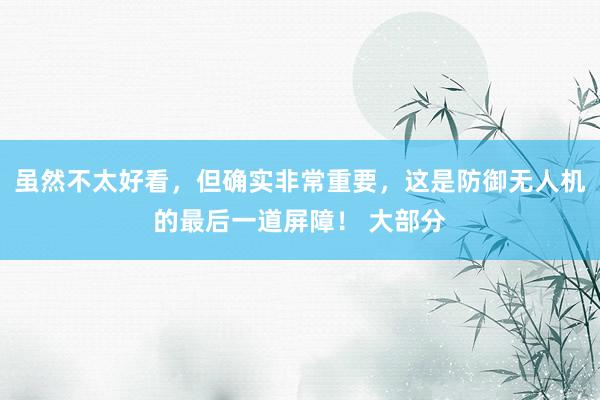 虽然不太好看，但确实非常重要，这是防御无人机的最后一道屏障！ 大部分