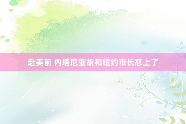 赴美前 内塔尼亚胡和纽约市长怼上了