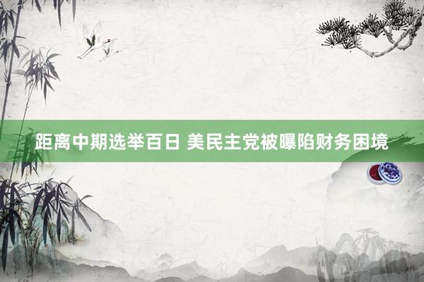 距离中期选举百日 美民主党被曝陷财务困境