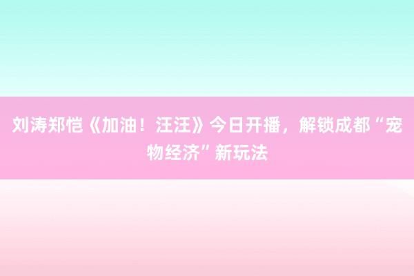 刘涛郑恺《加油！汪汪》今日开播，解锁成都“宠物经济”新玩法