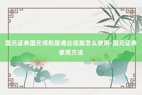 国元证券国元领航版通达信版怎么使用-国元证券使用方法