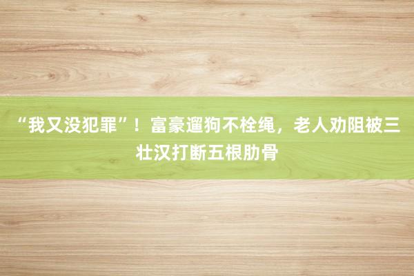 “我又没犯罪”！富豪遛狗不栓绳，老人劝阻被三壮汉打断五根肋骨