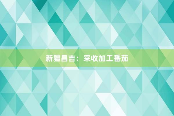 新疆昌吉：采收加工番茄