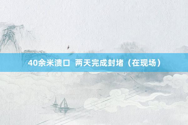 40余米溃口  两天完成封堵（在现场）