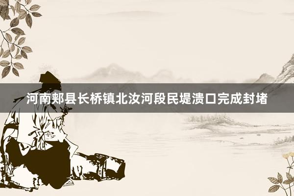 河南郏县长桥镇北汝河段民堤溃口完成封堵