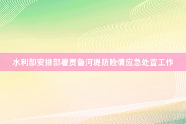 水利部安排部署贾鲁河堤防险情应急处置工作