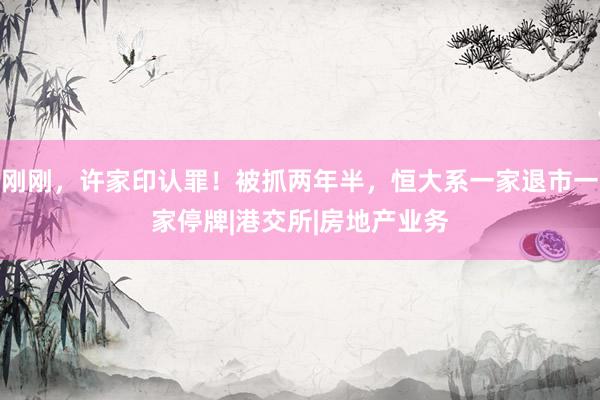 刚刚，许家印认罪！被抓两年半，恒大系一家退市一家停牌|港交所|房地产业务