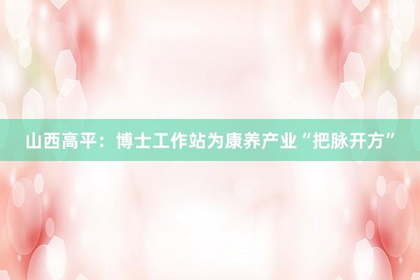 山西高平：博士工作站为康养产业“把脉开方”