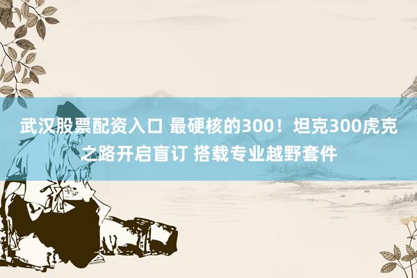 武汉股票配资入口 最硬核的300！坦克300虎克之路开启盲订 搭载专业越野套件