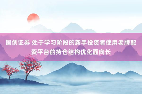 国创证券 处于学习阶段的新手投资者使用老牌配资平台的持仓结构优化面向长