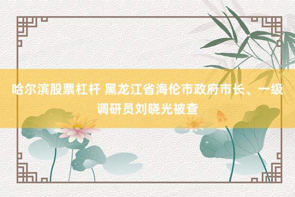 哈尔滨股票杠杆 黑龙江省海伦市政府市长、一级调研员刘晓光被查