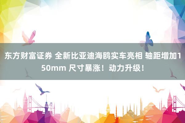 东方财富证券 全新比亚迪海鸥实车亮相 轴距增加150mm 尺寸暴涨!动力升级!