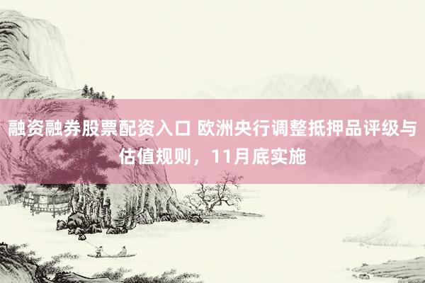 融资融券股票配资入口 欧洲央行调整抵押品评级与估值规则,11月底实施