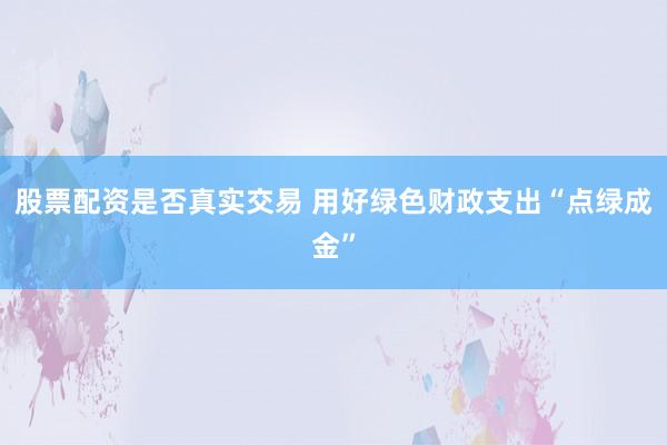 股票配资是否真实交易 用好绿色财政支出“点绿成金”