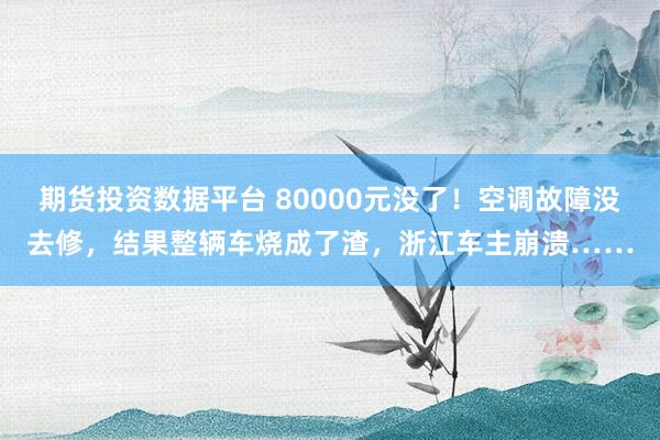 期货投资数据平台 80000元没了!空调故障没去修,结果整辆车烧成了渣,浙江车主崩溃……