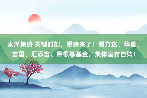 泰泽策略 关键时刻，重磅来了！易方达、华夏、富国、汇添富、摩根等基金，集体宣布自购！