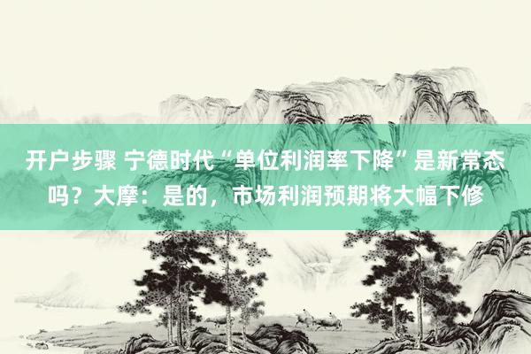 开户步骤 宁德时代“单位利润率下降”是新常态吗？大摩：是的，市场利润预期将大幅下修
