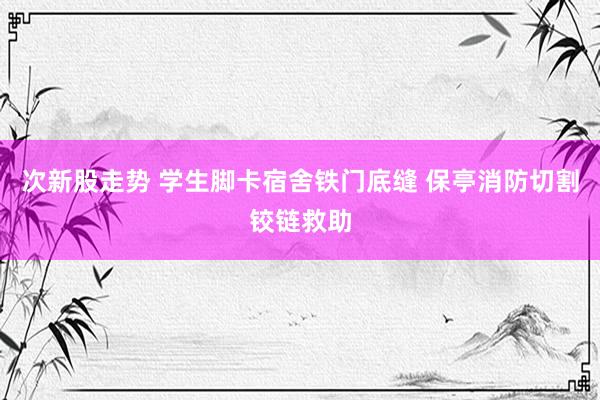 次新股走势 学生脚卡宿舍铁门底缝 保亭消防切割铰链救助